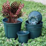 Plug Tray Manufacturer - OEM/ODM Custom Xtb72 Seedling Starting Sprouting