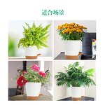 Self Watering Flower Pot Manufacturer - OEM/ODM Custom Biodegradable Plant