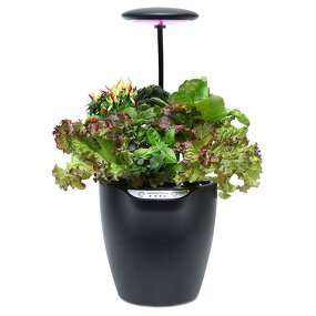 Smart Garden Manufacturer - OEM/ODM Custom Fiberglass Vegetable Planters Box