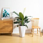 Self Watering Flower Pot Manufacturer - OEM/ODM Custom Big Size Unique Garden