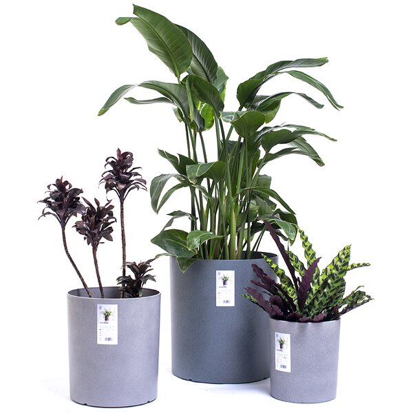 Self Watering Pot Manufacturer - OEM/ODM Custom Succulent Garden Plastic PP