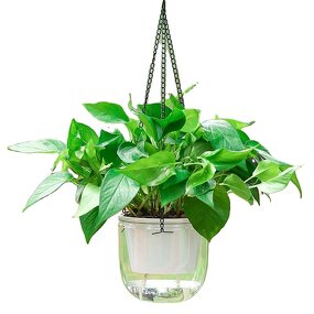 Self Watering Planter Manufacturer - OEM/ODM Custom Clear Plastic Plant Pot