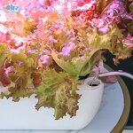 Smart Garden Manufacturer - OEM/ODM Custom WIFI Indoor Fiberglass Planter
