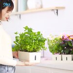 Smart Garden Manufacturer - OEM/ODM Custom 20 Planting Position Planter Box