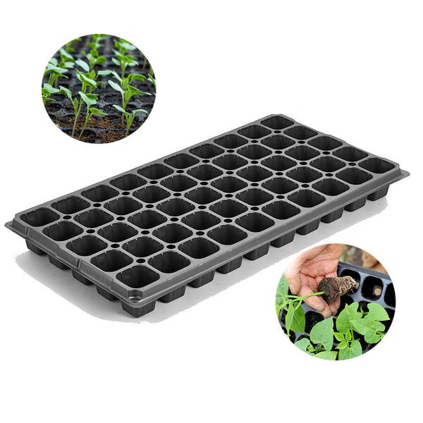 Plug Tray Manufacturer - OEM/ODM Custom PS Vegetable Nurseries Greenhouse