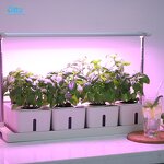 Smart Garden Manufacturer - OEM/ODM Custom Fiberglass Vegetable Planters Box