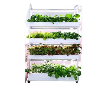 Hydroponics System Manufacturer - OEM/ODM Custom 4-Layer 120-Hole Plant