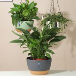 Hanging Flower Pot Manufacturer - OEM/ODM Custom 3 Sizes Minimalist Self