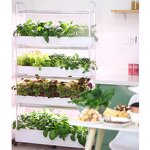 Hydroponics System Manufacturer - OEM/ODM Custom 4-Layer 120-Hole Plant