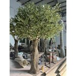 Artificial Olive Tree Manufacturer - OEM/ODM Custom Realistic Fiberglass Plant