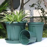 Plug Tray Manufacturer - OEM/ODM Custom Xtb72 Seedling Starting Sprouting