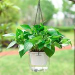 Self Watering Plant Pot Manufacturer - OEM/ODM Custom Double Layer Spider Plant