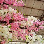 Artificial Cherry Tree Manufacturer - OEM/ODM Custom White Sakura Wedding Tree