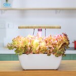 Smart Garden Manufacturer - OEM/ODM Custom WIFI Indoor Fiberglass Planter