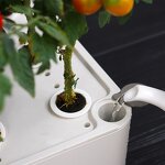 Hydroponics System Manufacturer - OEM/ODM Custom LED Grow Light Smart