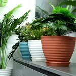PP Flowerpot Manufacturer - OEM/ODM Custom Hard Thickened for Garden Balcony