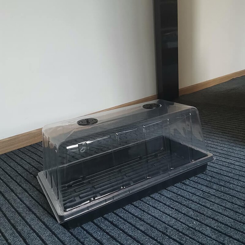 Seedling Tray Manufacturer - OEM/ODM Custom 1020 Horticulture Germination