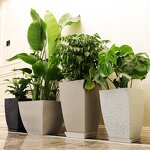 Mini Planter Manufacturer - OEM/ODM Custom Modern Plastic Mini Flower Pot