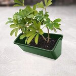 Flower Pot Manufacturer - OEM/ODM Custom Wholesale Outdoor Horti Planting