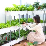 Large Flower Pot Manufacturer - OEM/ODM Custom 11.8 Inches High Diamond