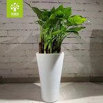 Self Watering Pot Manufacturer - OEM/ODM Custom Triangle Plastic Flower Pot