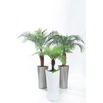 Self Watering Pot Manufacturer - OEM/ODM Custom Triangle Plastic Flower Pot