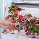 Hydroponic System Manufacturer - OEM/ODM Custom Garden Pot Automatic Aquaponics