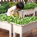 Self Watering Basin Manufacturer - OEM/ODM Custom Outdoor Gardening High Foot