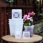 Clear Pot Manufacturer - OEM/ODM Custom Root Control for Cattleya Planting