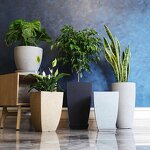 Plastic Planter Manufacturer - OEM/ODM Custom Beautiful Indoor Outdoor Large