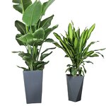 Plastic Pot Manufacturer - OEM/ODM Custom Nordic Style Matte Texture Bird