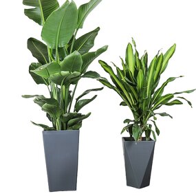 Plastic Pot Manufacturer - OEM/ODM Custom Nordic Style Matte Texture Bird