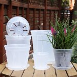 Garden Pot Manufacturer - OEM/ODM Custom Beautiful Plastic Decorative