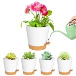 Self Watering Plant Pot Manufacturer - OEM/ODM Custom Indoor Outdoor Plastic