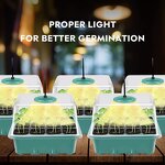 Clone Tray Manufacturer - OEM/ODM Custom Horticulture Germination Grow
