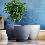 Decorative Plant Pot Manufacturer - OEM/ODM Custom Tall Plastic Indoor Outdoor