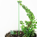 Plastic Basin Manufacturer - OEM/ODM Custom White Environmentally Friendly