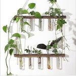 Test Tube Vase Manufacturer - OEM/ODM Custom Eco-friendly Wood Grade Glazed