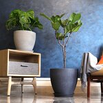 Plastic Planter Manufacturer - OEM/ODM Custom Beautiful Indoor Outdoor Large