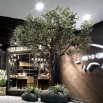 Artificial Olive Tree Manufacturer - OEM/ODM Custom Large Outdoor Fiberglass