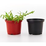 Nursery Pot Manufacturer - OEM/ODM Custom 1-15 Gallon PP Black Garden