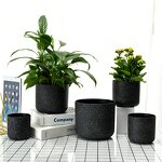 Indoor Planter Manufacturer - OEM/ODM Custom Nordic Marble Mini Decorative