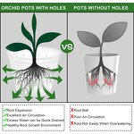 Orchid Pot Manufacturer - OEM/ODM Custom Clear Plastic with Holes Garden