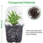 Self Watering Pot Manufacturer - OEM/ODM Custom Plastic Home Garden Vegetable