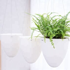 Self Watering Pot Manufacturer - OEM/ODM Custom Plastic Flower Vegetable Pot