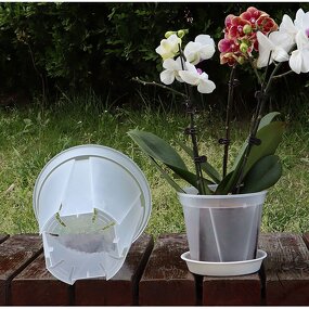 Orchid Pot Manufacturer - OEM/ODM Custom Clear Plastic with Holes Planter