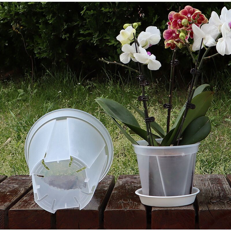 Orchid Pot Manufacturer - OEM/ODM Custom Clear Plastic with Holes Planter