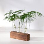 Hydroponic Vase Manufacturer - OEM/ODM Custom Wooden Frame Spherical Glass