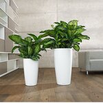 Terracotta Pot Manufacturer - OEM/ODM Custom Italian Terracotta for Indoor