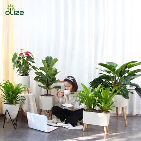 Smart Flower Pot Manufacturer - OEM/ODM Custom Nordic Style Shortage Alarm